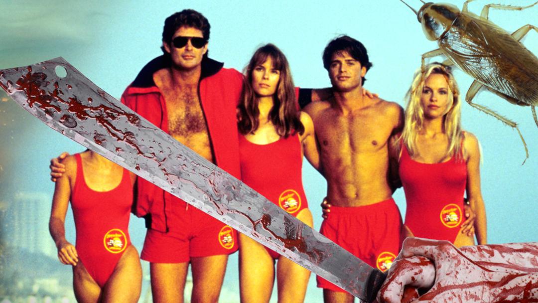 Baywatch Capitalism Quiz